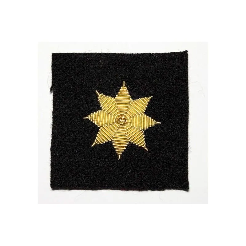 Galón estrella bordada 8 puntas - El Profesional. Efectos Militares
