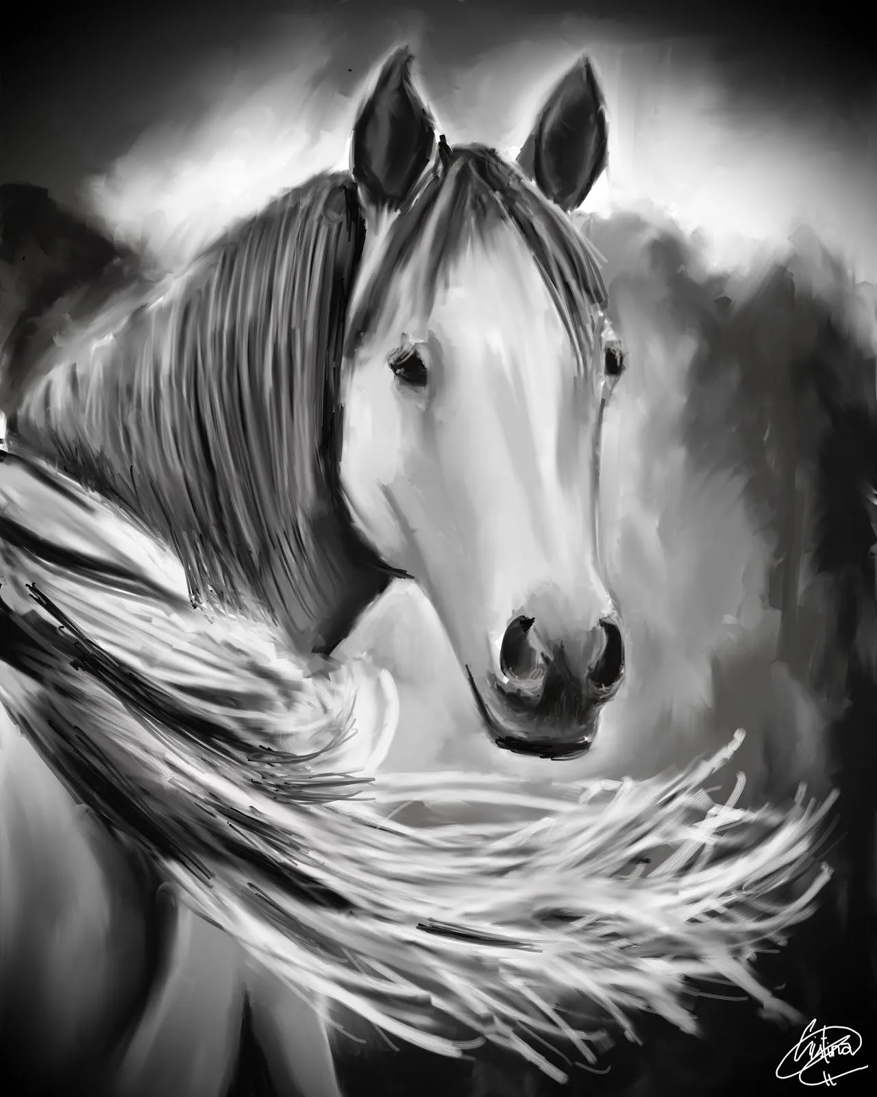 ๋• GaMuSíNiCa ●๋•: Imagen final // Caballo en Blanco y Negro ๋• GaMuSíNiCa ●๋•: Imagen final // Caballo en Blanco y Negro