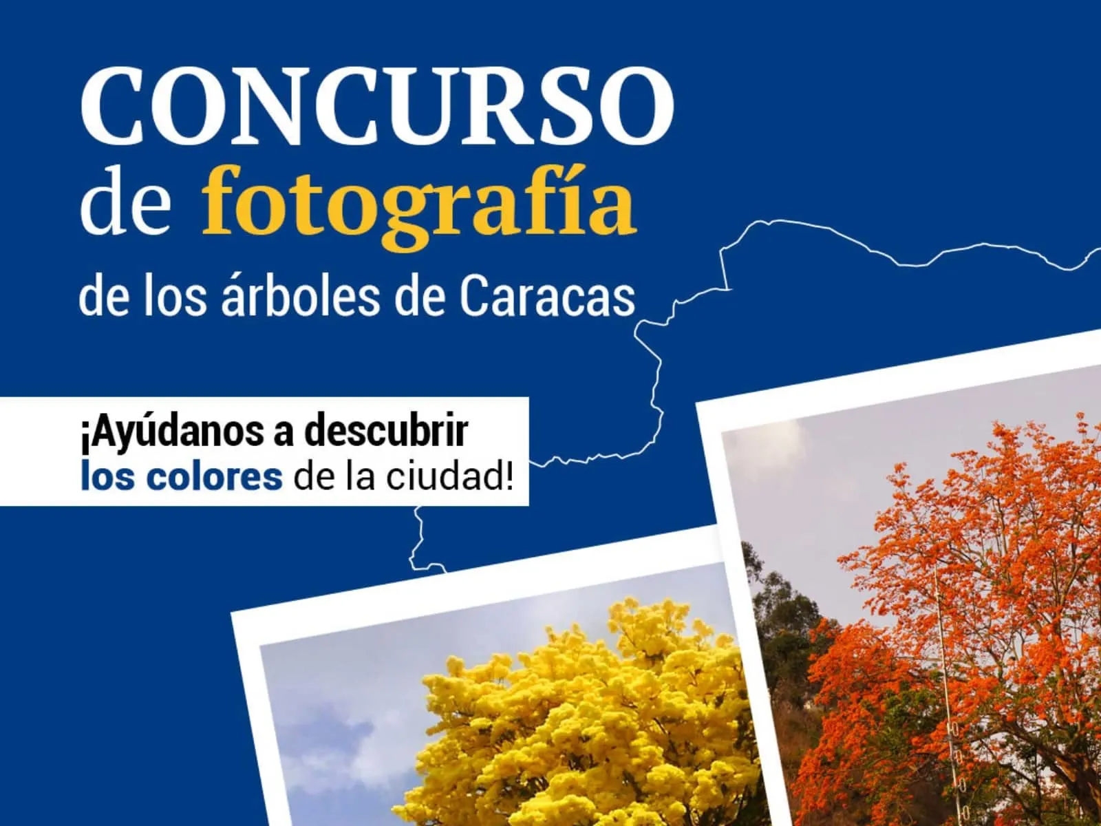 Ganadores del premio Mejor Fotografía en el concurso “Ayúdanos a descubrir los colores de la ciudad” Ganadores del premio Mejor Fotografía en el concurso “Ayúdanos a descubrir los colores de la ciudad”