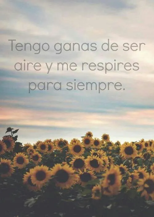 Tengo ganas de ser aire y me respires para siempre..... | Frases ... Tengo ganas de ser aire y me respires para siempre..... | Frases ...