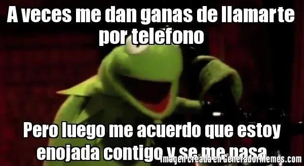 La Rana René on Pinterest | Meme, Frases and Kermit