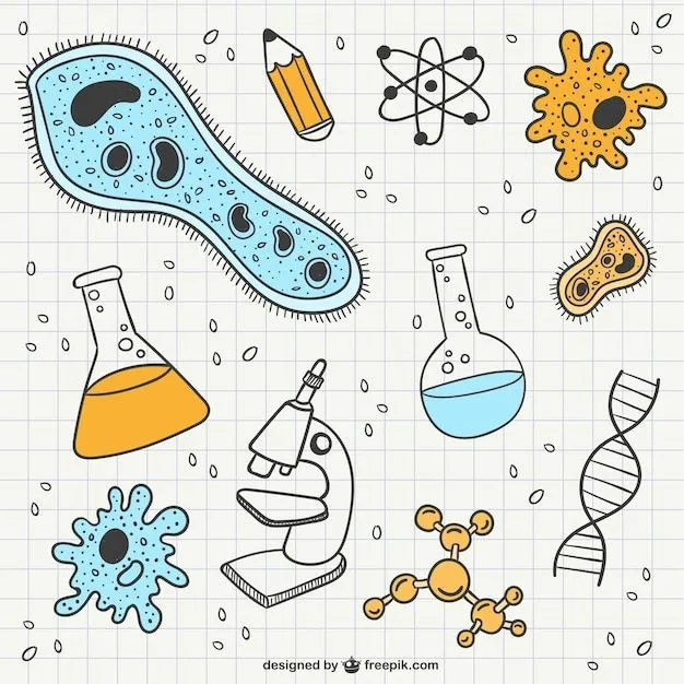 Garabatos de ciencia y biología | Descargar Vectores gratis Garabatos de ciencia y biología | Descargar Vectores gratis