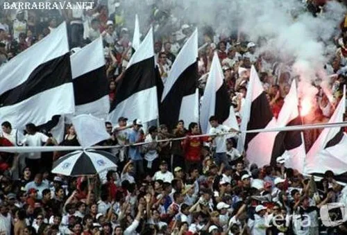 Garra blanca colo colo - Imagui