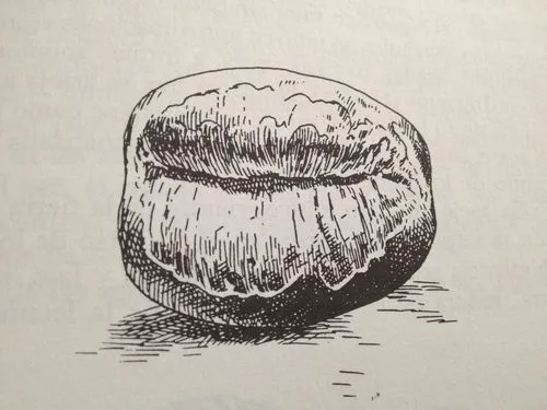 Gastronotas de Capel >> Archivo >> Blogs EL PAÍS