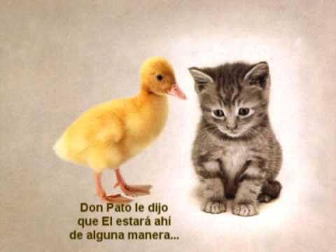 GATA CUMPLEAÑOS - YouTube