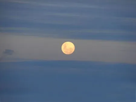 Ni Gata Ni Flora Ni Gata Ni Flora