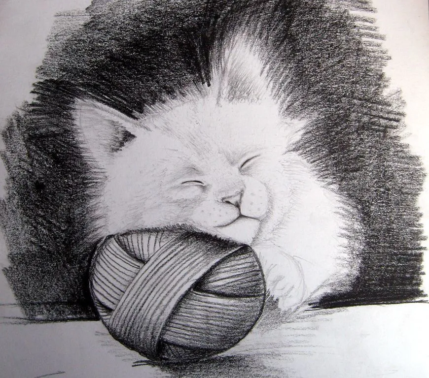 Gatico Carlos Andres Patiño Meneses - Artelista. Gatico Carlos Andres Patiño Meneses - Artelista.
