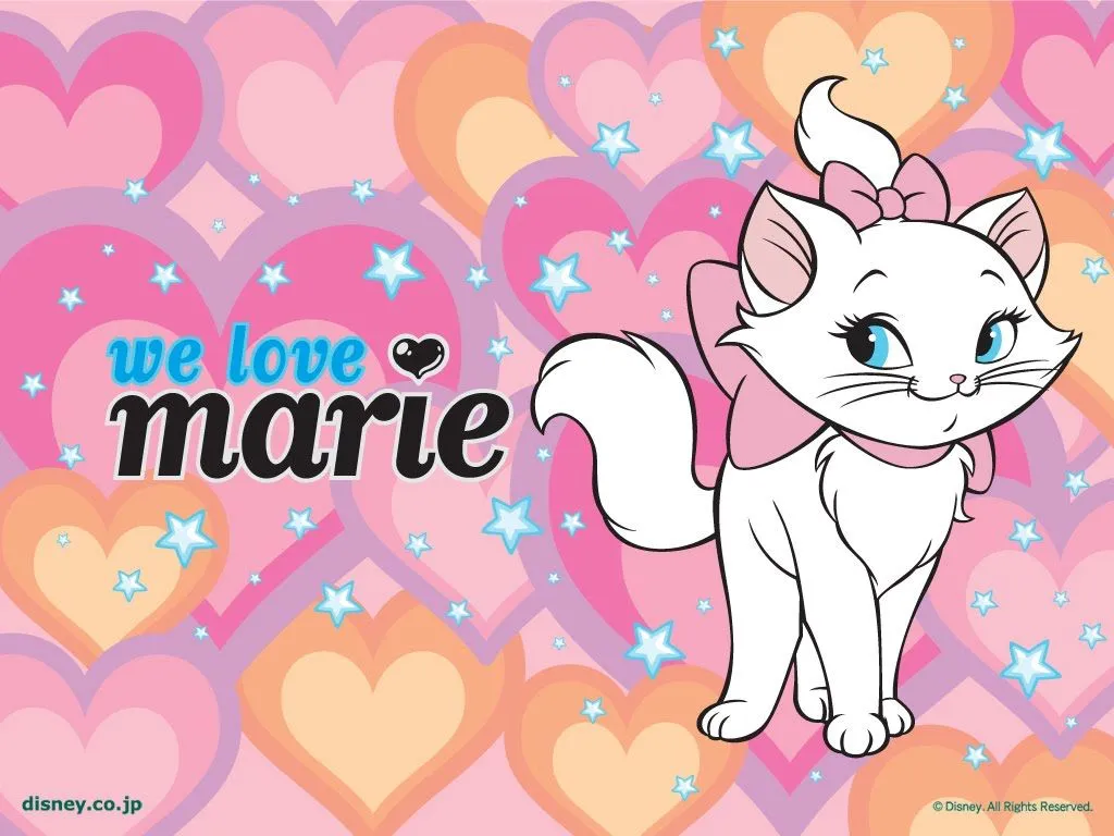 La gatita marie wallpaper - Imagui