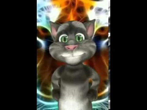 Gatito deseando Buenos dias - YouTube
