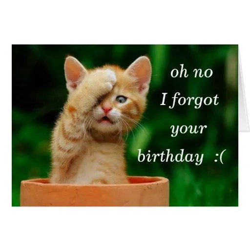 el gatito olvidó cumpleaños felicitación | Zazzle el gatito olvidó cumpleaños felicitación | Zazzle