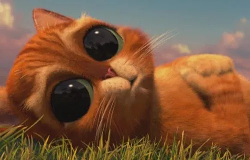 Fotos del gatito de shrek de bebé - Imagui