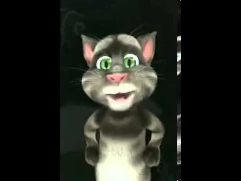 Gatito sincero para whatsapp - YouTube