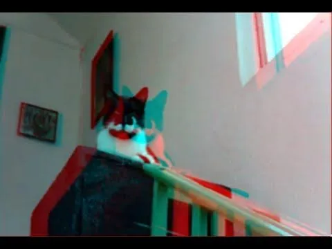 Gatitos en 3D - YouTube