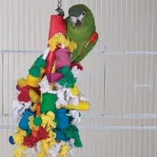 mis gatitos: AVES: LOROS , CANARIOS ,VERDERONES Y JILGUEROS. mis gatitos: AVES: LOROS , CANARIOS ,VERDERONES Y JILGUEROS.
