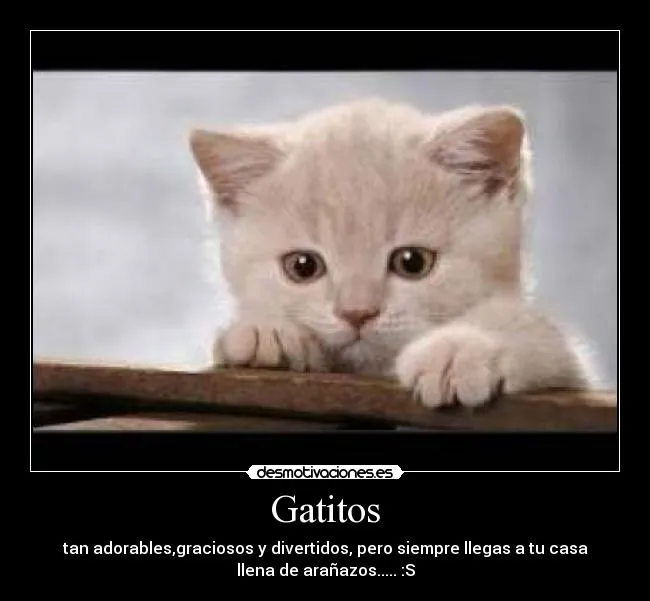 Carteles de Gatitos Pag. 21 | Desmotivaciones Carteles de Gatitos Pag. 21 | Desmotivaciones