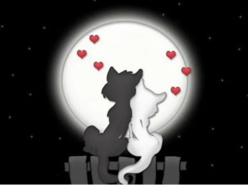 Gatitos enamorados | Te Amo Web - Imagenes de amor