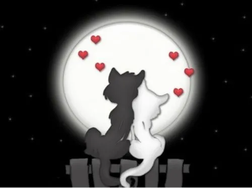 Gatitos enamorados | Te Amo Web - Imagenes de amor Gatitos enamorados | Te Amo Web - Imagenes de amor