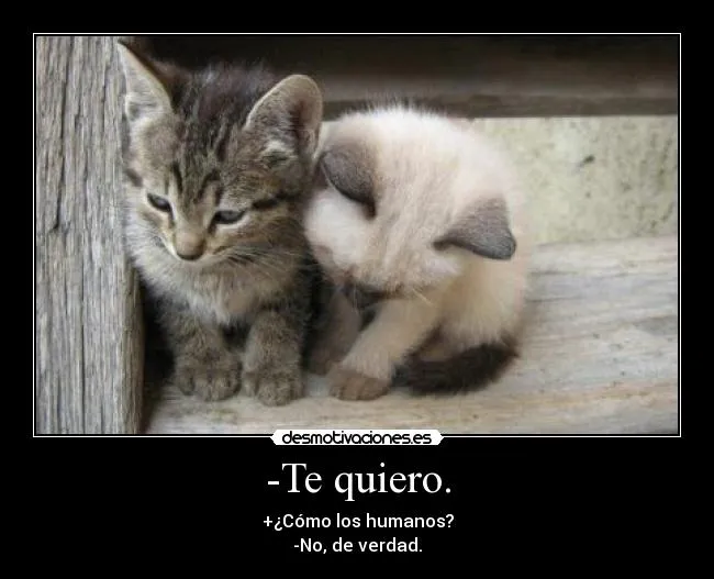 Te quiero. | Desmotivaciones