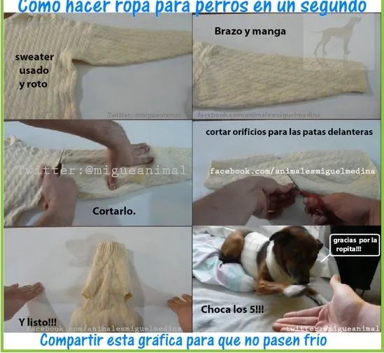 mis gatitos: ROPA PARA GATOS Y PERROS.