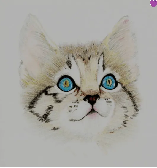 Dibujos de gatos tiernos a lápiz - Imagui