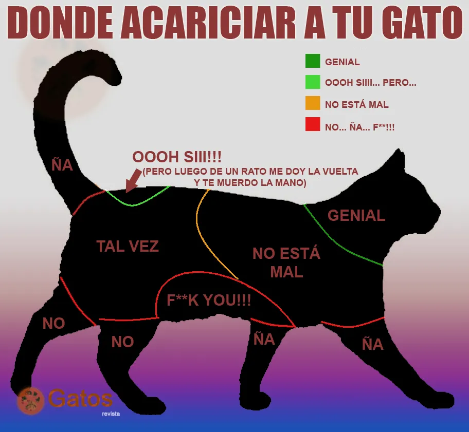 Soy un gato: Como acariciar a un gato
