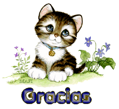 Gato animado tierno - Imagui