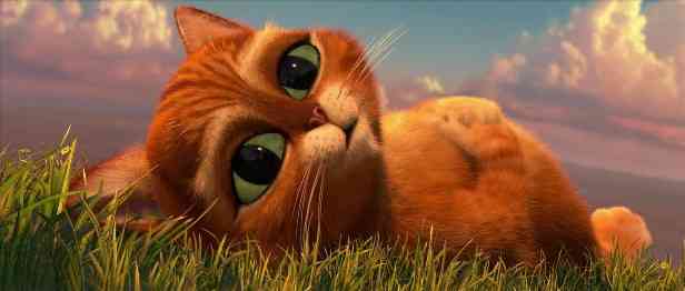 Descargar gato con botas animado shrek - Imagui