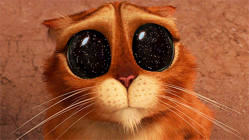 Imagenes gif gato de shrek - Imagui