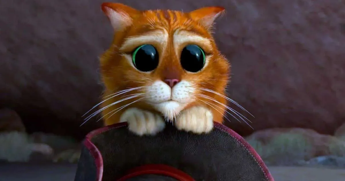 Gato con botas de Shrek tiene un doble en la vida real que es viral en rede  | La FM