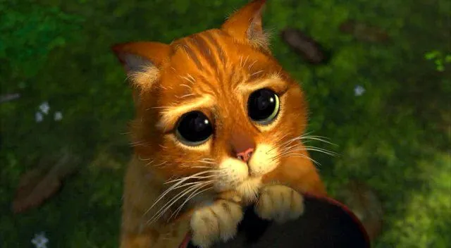Gato con botas shrek triste - Imagui