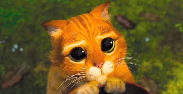 Gato con botas? Sorprendete con su parecido | Metro951 Gato con botas? Sorprendete con su parecido | Metro951