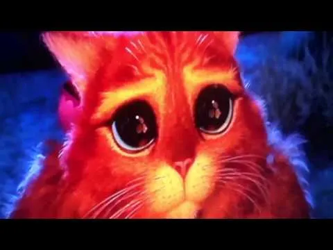 Gato con botas triste