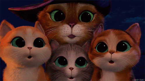 El gato con botas gif - Imagui