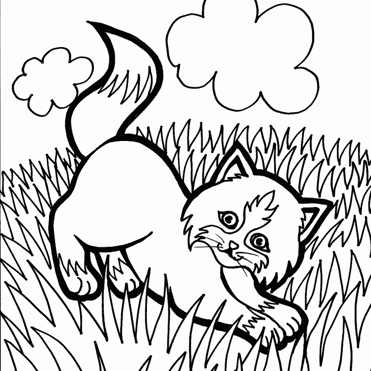 Dibujos para colorear de mascotas. Dibujos de mascotas para pintar