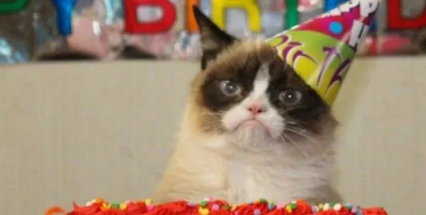 Gato enojado feliz cumpleaños - Imagui