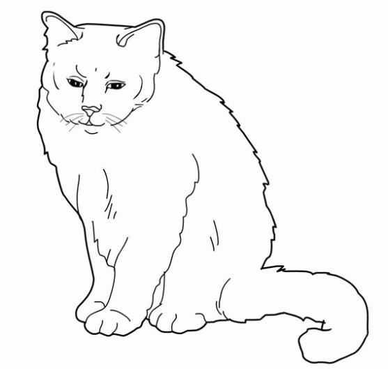 Dibujo de Gato para colorear. Dibujos infantiles de Gato. Colorear ...