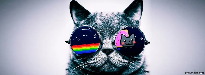 TENGO UN GATO GORDO :3