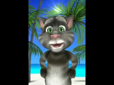 Gato grosero - YouTube