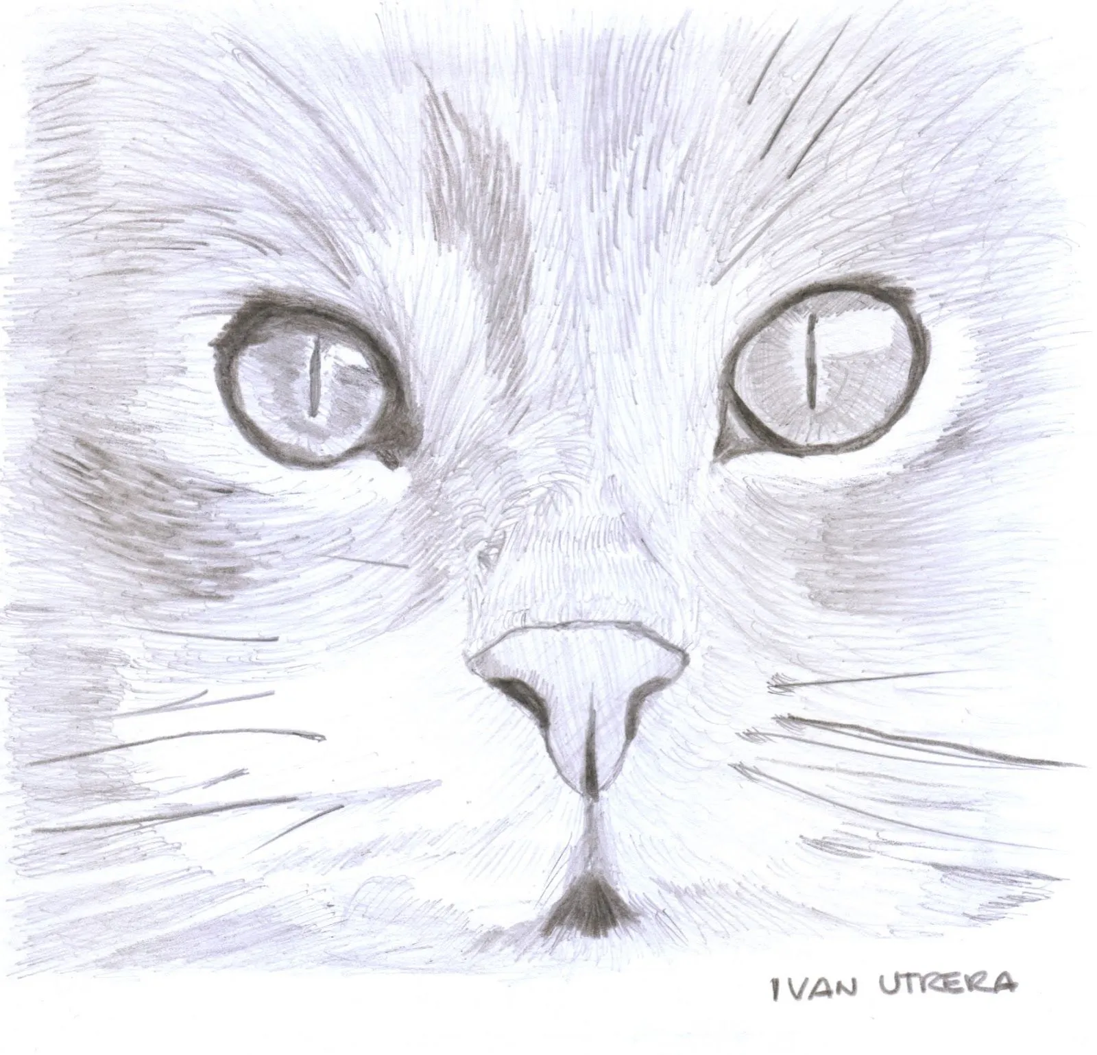 Gato a lápiz | Dibujo a lápiz, Reciclaje, Tallado en Madera ... Gato a lápiz | Dibujo a lápiz, Reciclaje, Tallado en Madera ...