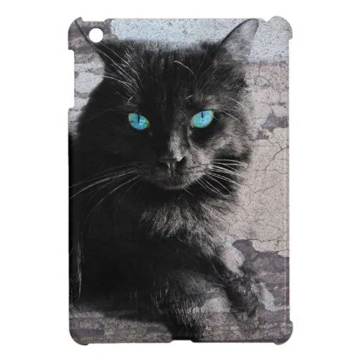 Gato negro de ojos azules, mini cubierta del iPad | Zazzle Gato negro de ojos azules, mini cubierta del iPad | Zazzle