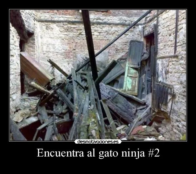 Encuentra al gato ninja #2 | Desmotivaciones Encuentra al gato ninja #2 | Desmotivaciones