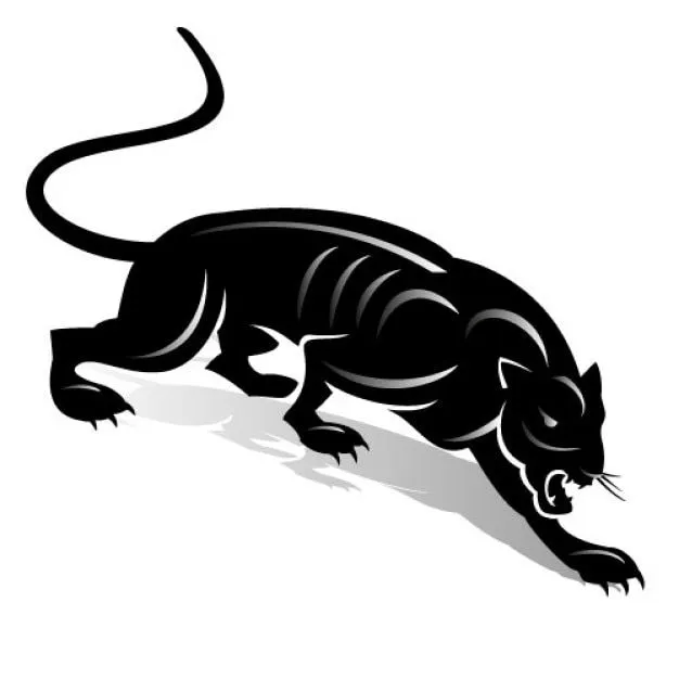Gato de pantera | Descargar Fotos gratis