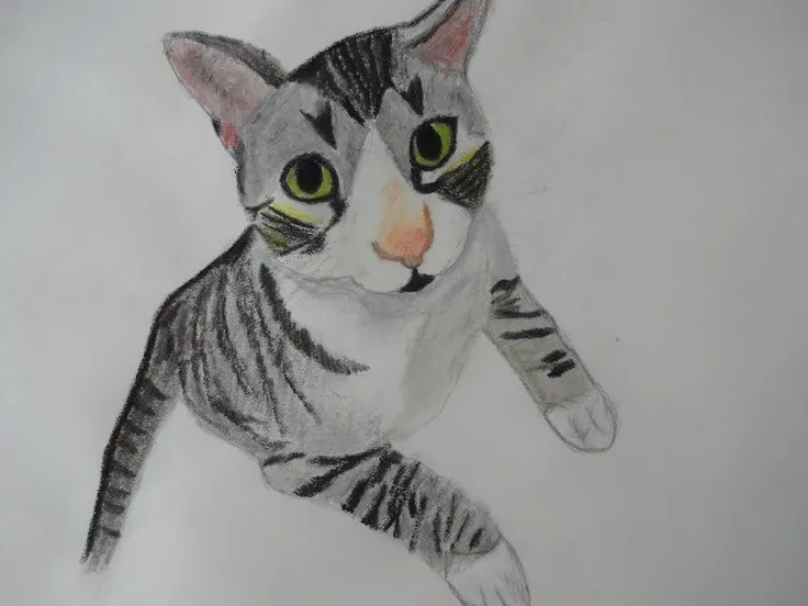 Gato en pintura con pastel | Ilustraciones y pinturas | Pinterest ... Gato en pintura con pastel | Ilustraciones y pinturas | Pinterest ...