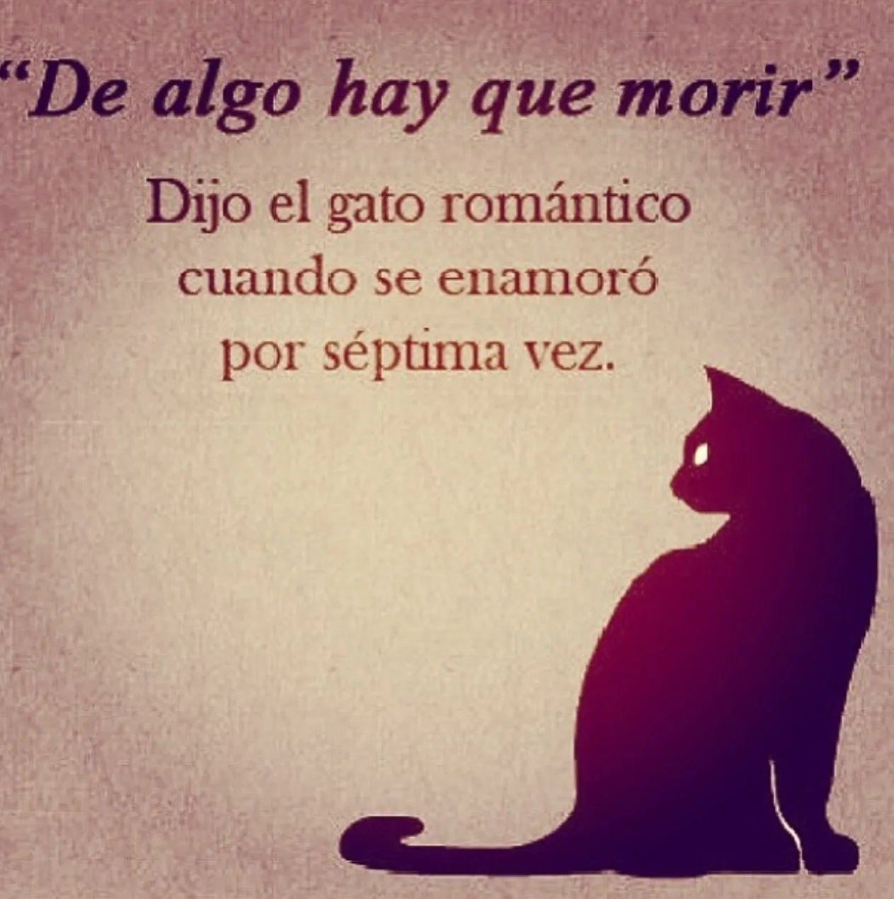 dijo el gato romántico cuando se enamoró por séptima vez | ~El ... dijo el gato romántico cuando se enamoró por séptima vez | ~El ...