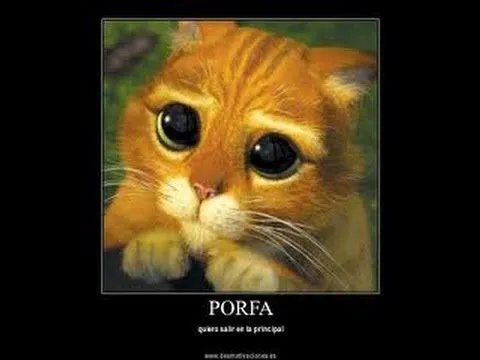 El Gato de Shrek - YouTube