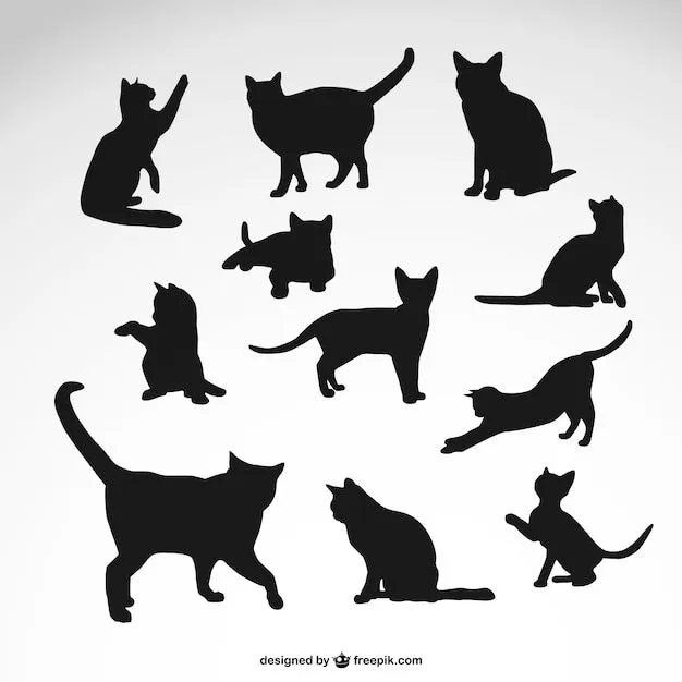 ilustración vectorial de stock: negro colecciones silueta del gato ...