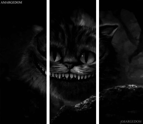 gato sonriente | Tumblr