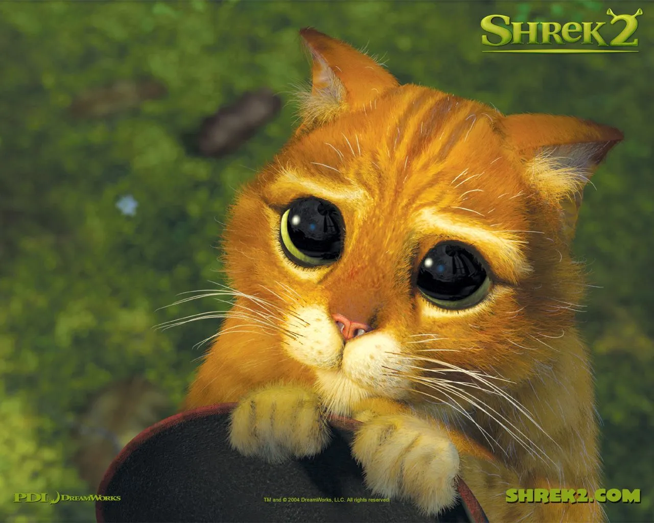 El Gato Mas Tierno de Todos Gato en Shrek - El blog de ... El Gato Mas Tierno de Todos Gato en Shrek - El blog de ...