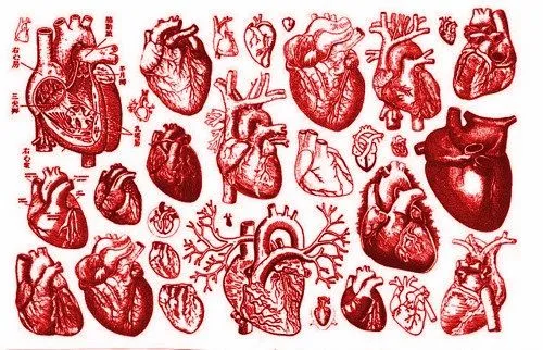 Un Mal Gato: Tipos de Corazones