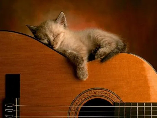 Tocar la guitarra durante cuatro días seguidos (record Guinness ... Tocar la guitarra durante cuatro días seguidos (record Guinness ...